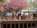  On the bridge